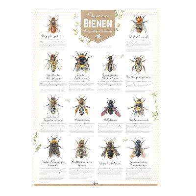 Poster Bienen