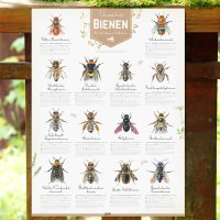 Poster Bienen