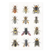 Postkarte Bienen