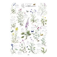 Poster Wildblumen